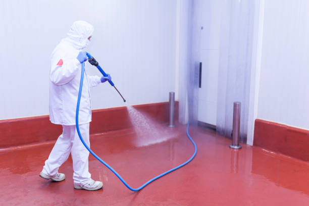 Best Solar Panel Cleaning  in Catawba, SC