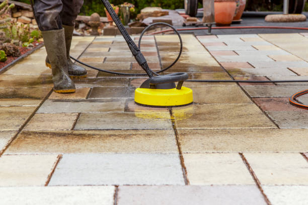 Animal Enclosure Cleaning in Catawba, SC